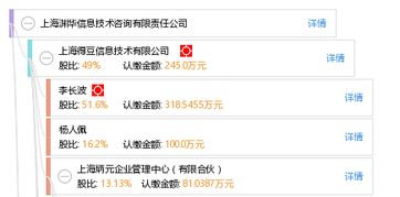 上海渊华信息技术咨询有限责任公司 专业信息技术咨询服务的引领者