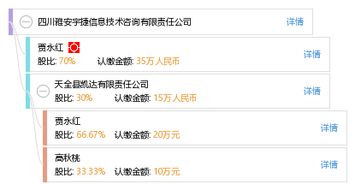 四川雅安宇捷信息技术咨询有限责任公司 专业信息技术咨询服务引领数字化转型