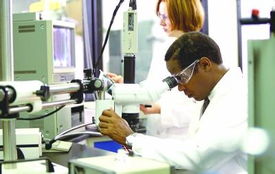 信息技术咨询服务在通信储能市场中的关键作用与发展前景